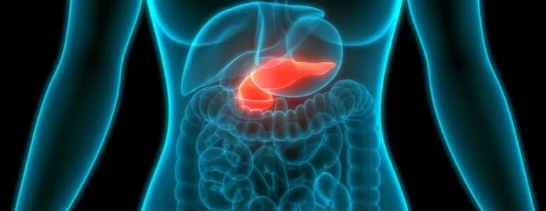 Welcher Tee ist gut für die Bauchspeicheldrüse und fördert die Gesundheit?