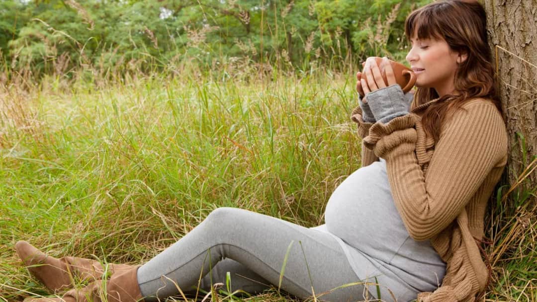 Welche Tees bei Schwangerschaft sind sicher und welche sollten vermieden werden?