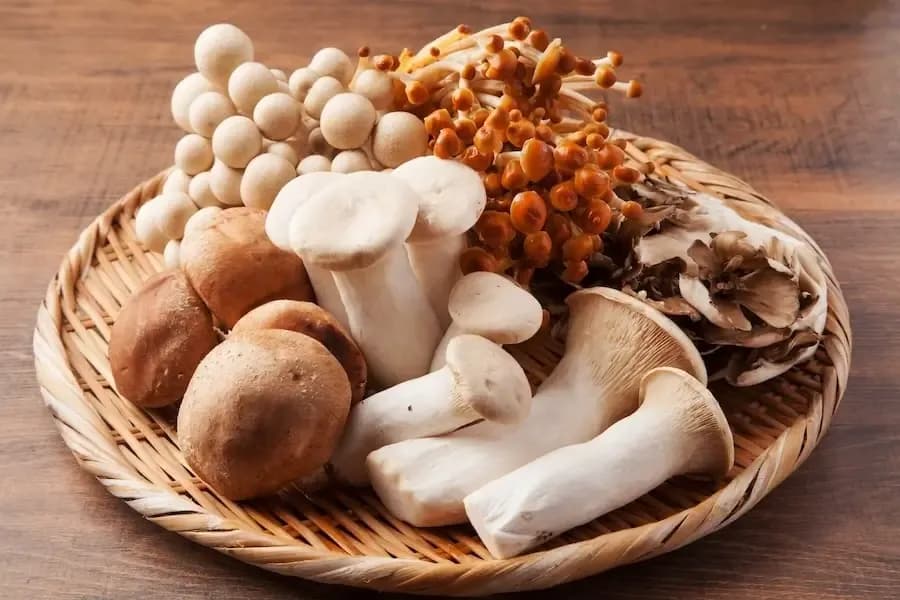 Welches Gewürz zu Pilzen: Die besten Kombinationsmöglichkeiten für mehr Geschmack