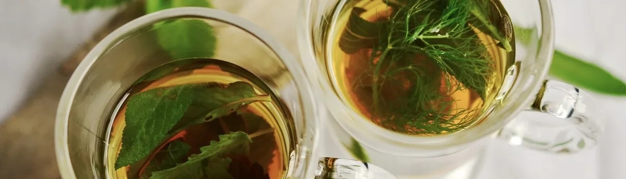 Welche Tees sind gut für die Leber? Die besten Optionen für Ihre Gesundheit