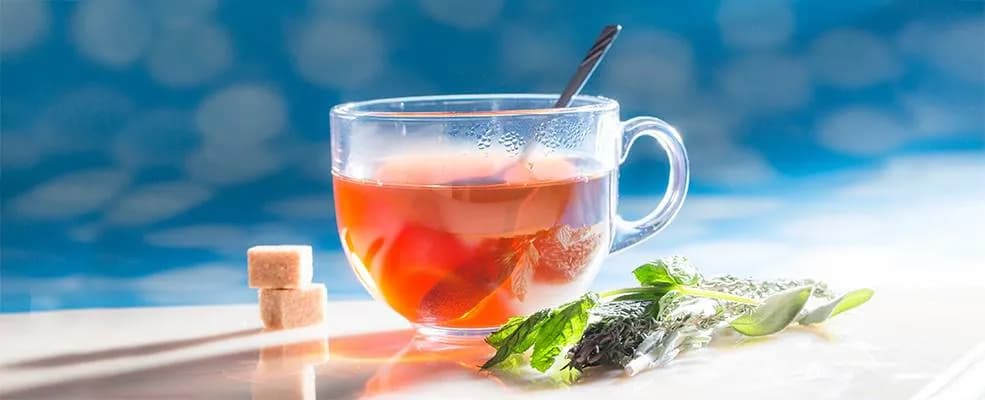 Welcher Tee bei Magen Darm: Die besten Tees für schnelle Linderung